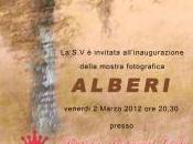 Cinisi, l’associazione Asadin presenta “Alberi”