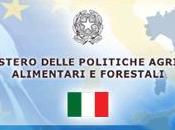 corso pubblicazione decreto concernente criteri modalità riconoscimento panel assaggiatori fini della valutazione controllo delle caratteristiche organolettiche degli oliva vergini.