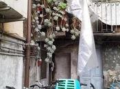 pollice verde? ?!?!