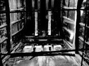 Roma: malato mente viveva chiuso gabbia come animale