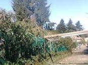 Telecom come Trenitalia ACEA ATO2?