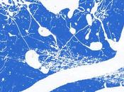 Collezione pennelli Photoshop: Sgocciolature