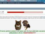 Ipmart-Forum Chiuso? Niente paura, solo problema tecnico