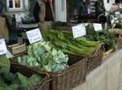 Ortobello Taste Firenze