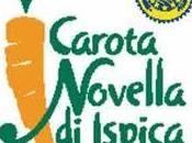 Carota novella Ispica