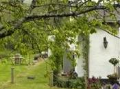 bellissimo cottage vicino fiume, Devon…