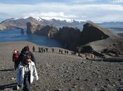 Quelle specie "aliene" stanno invadendo l'Antartide