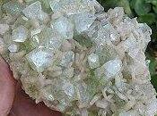 zeolite