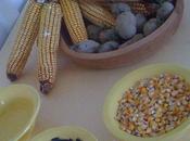 piatti, posate, catering biodegradabile sostenibilità