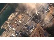 Giappone anno terremoto: Rapporto Fukushima. documento ufficiale