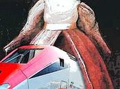 L’ammortizzatori vostri