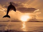 Cielo Terra 2012-03-13 21:28:28