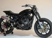 Harley "Stealth" Mule Motorcycles