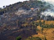 Trentino, giovane “pirla” brucia lettere causa incendio!