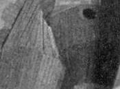 Storie (V). "Gli occhi cavallo..."