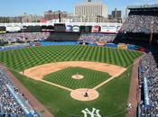 Trovata nuova specie rana. palude? York, Yankee Stadium