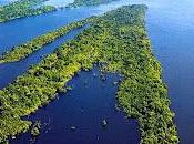 L'Amazzonia l'ecosistema ricco biodiversità mondo.
