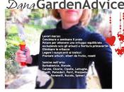 Dana Garden Advice