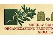 Settore olivicolo. Venerdì, seminario studi promosso APOR.