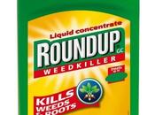 Roundap monsanto diserbare anche giardino? perfetto distruggere dna...