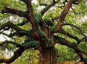 [Support!] Piccolo Spazio Vitale impatto zero!