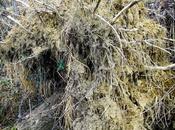 Sradicati, senza terra