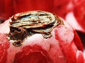 Tartufi gelato fragola crema cioccolato