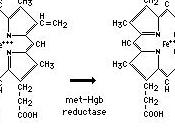 sorbitolo, casi avvelenamento Barletta metaemoglobinemia