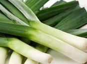 Porrata (torta porri)