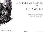 [link] Lucamaleonte Gallery Casa dell'Architettura