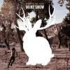 Classifica inglese:Paul Weller entra primo posto,focus Miike Snow(n.31)