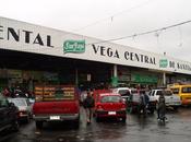 passeggiata mercato centrale Vega
