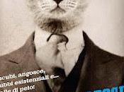 Segnalazioni #29: Miaomorfosi