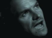 Sting Muoio
