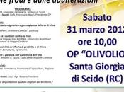 Santa Giorgia Scido: L'alta qualità difesa dalle frodi adulterazioni.