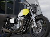 Kawasaki W800 Starck Boxer