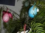 Pasqua 2012